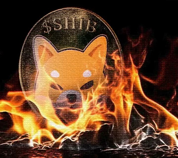 Shibarium hits 1 M wallet
