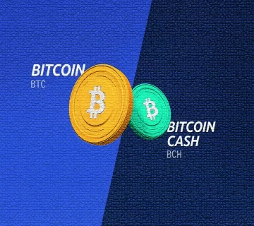 bitcoin cash