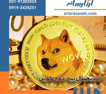 What is Baby Dogecoin currency